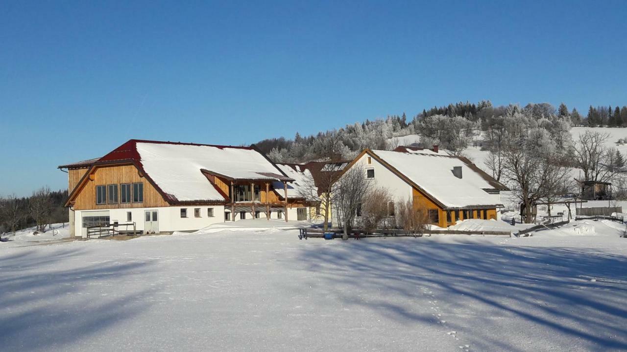 Oetscherblick Fam Winter Frankenfels Ngoại thất bức ảnh